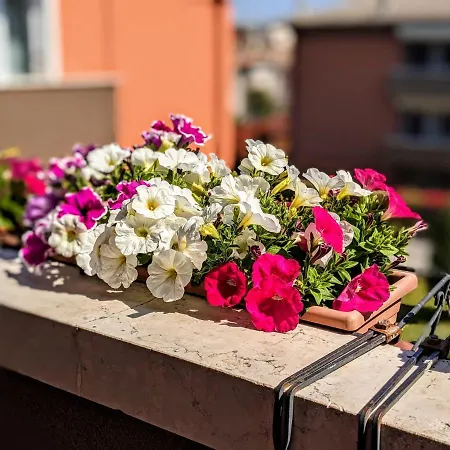 Bed & Breakfast The Way Desenzano del Garda
