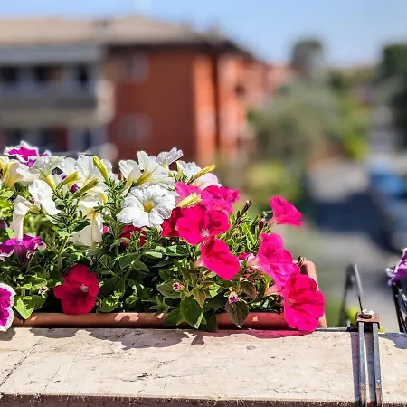 The Way * Desenzano del Garda