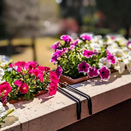 The Way Bed & Breakfast Desenzano del Garda
